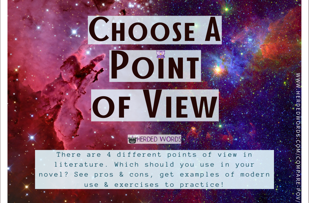 Point of View in Literature [Examples]