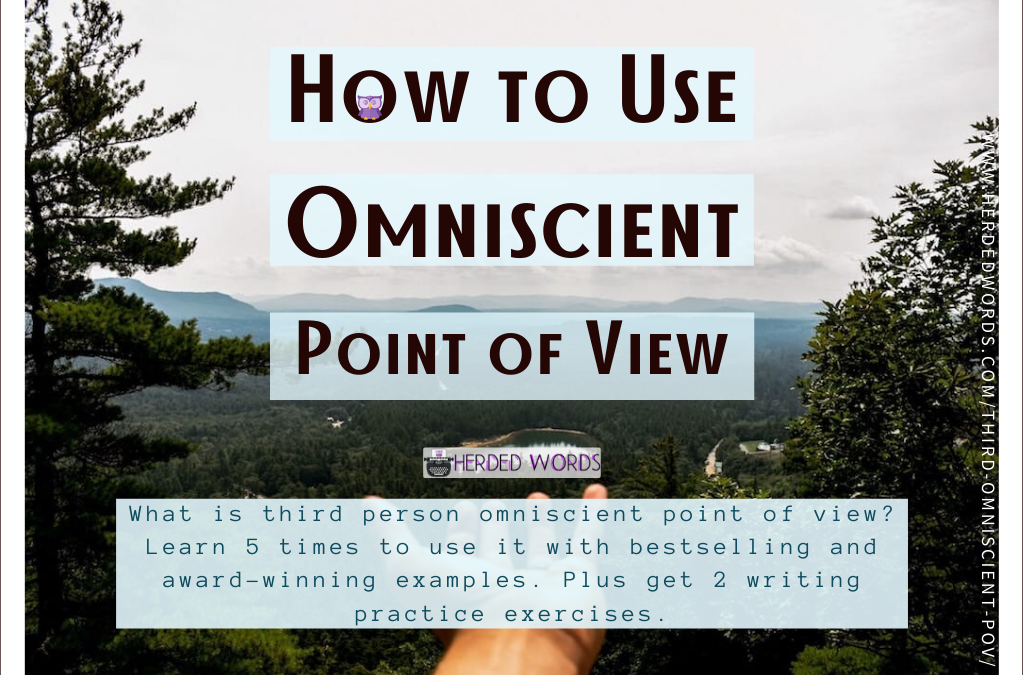 All You Need to Know about Omniscient Point of View