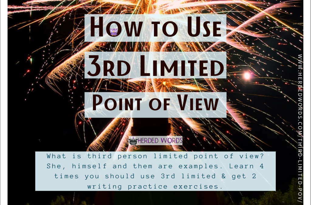 Third Person Limited Point of View (for Your Novel)